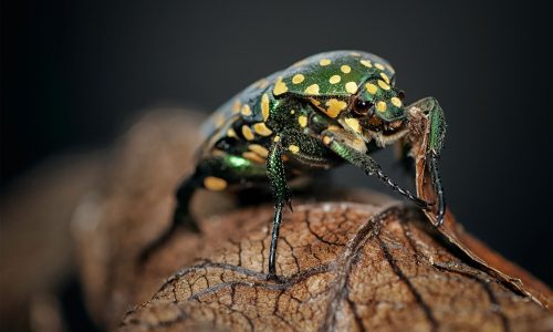 Slider-Img-01
